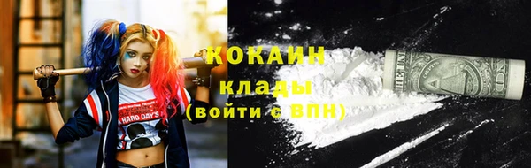 сатива Козловка
