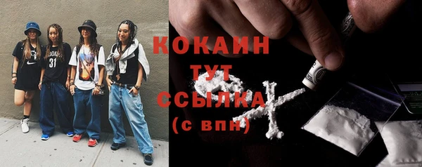 сатива Козловка