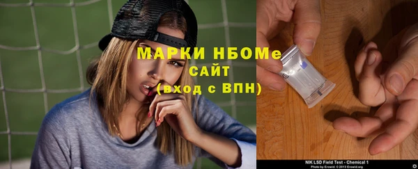 сатива Козловка