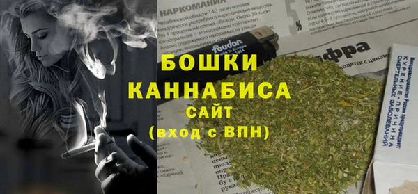 сатива Козловка