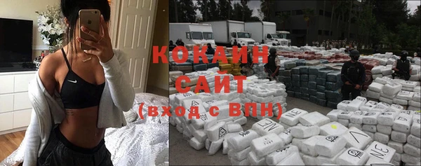 сатива Козловка