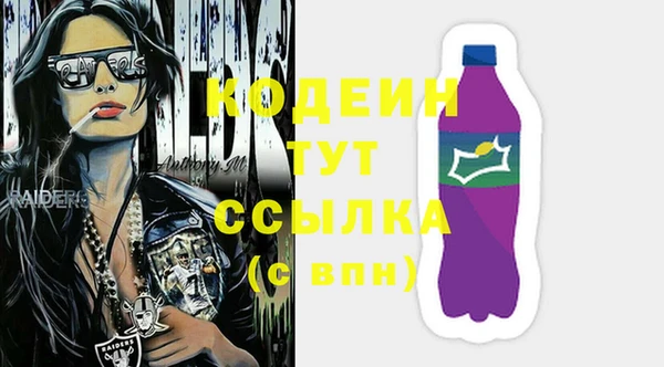 сатива Козловка