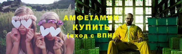 сатива Козловка