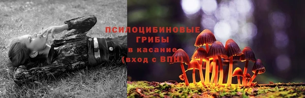 МДМА Козельск