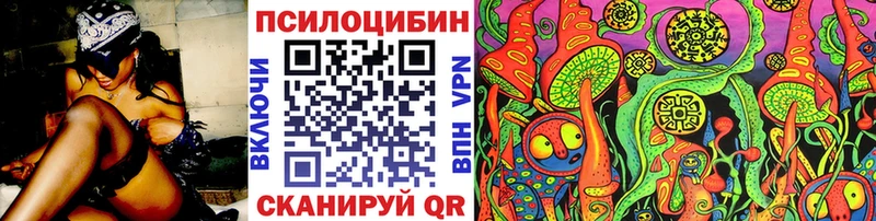 где купить наркотик  Холм  Галлюциногенные грибы Cubensis 