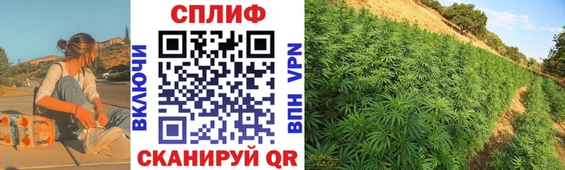 Шишки марихуана тримм  Холм 